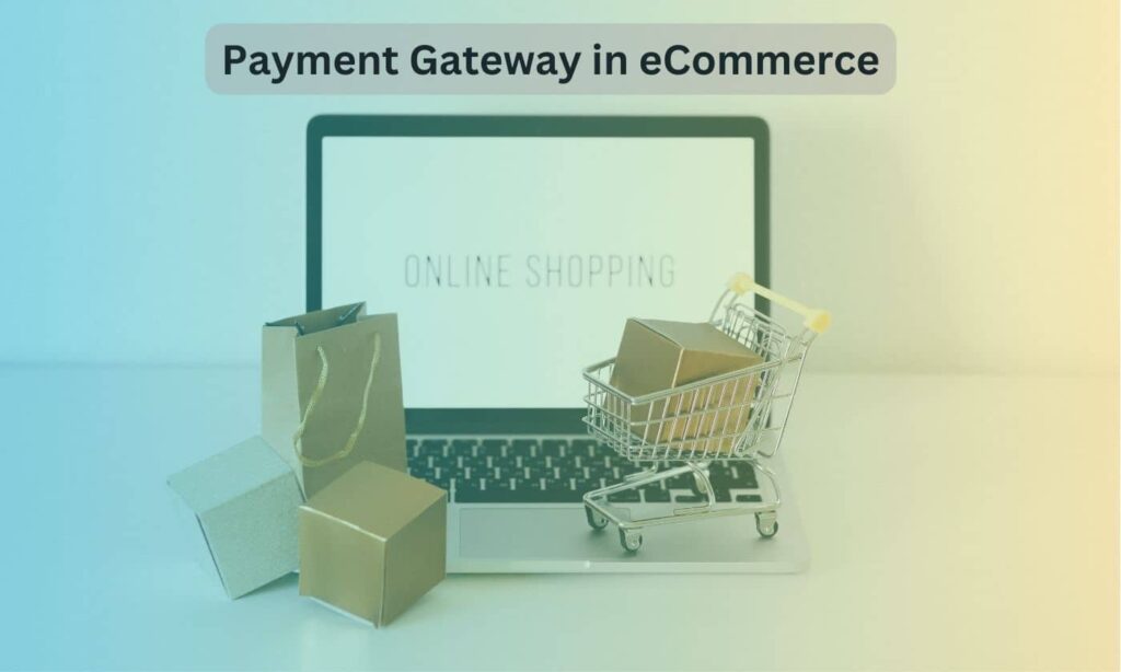 payment gateway in ecommerce