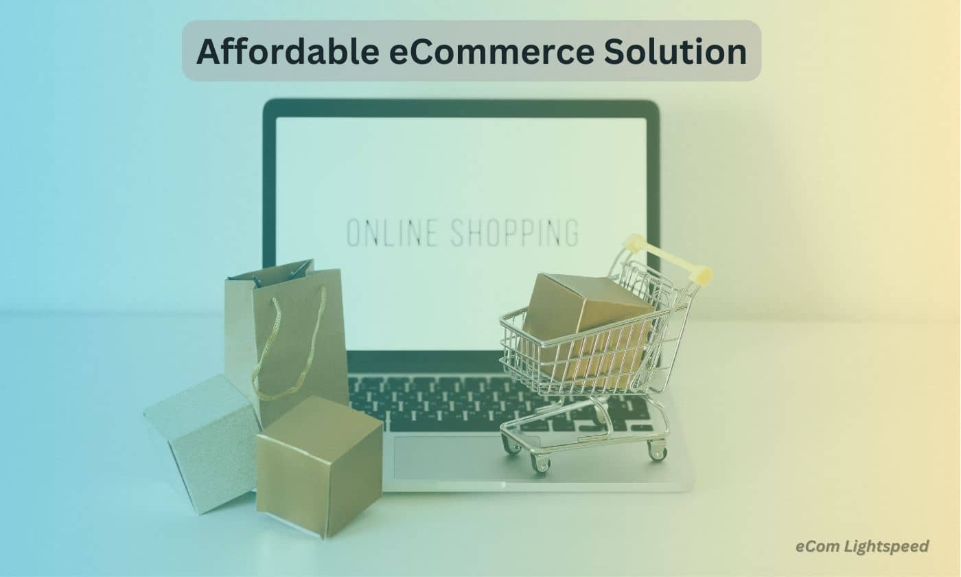 affordable ecommerce solution - Path to Small Business Success