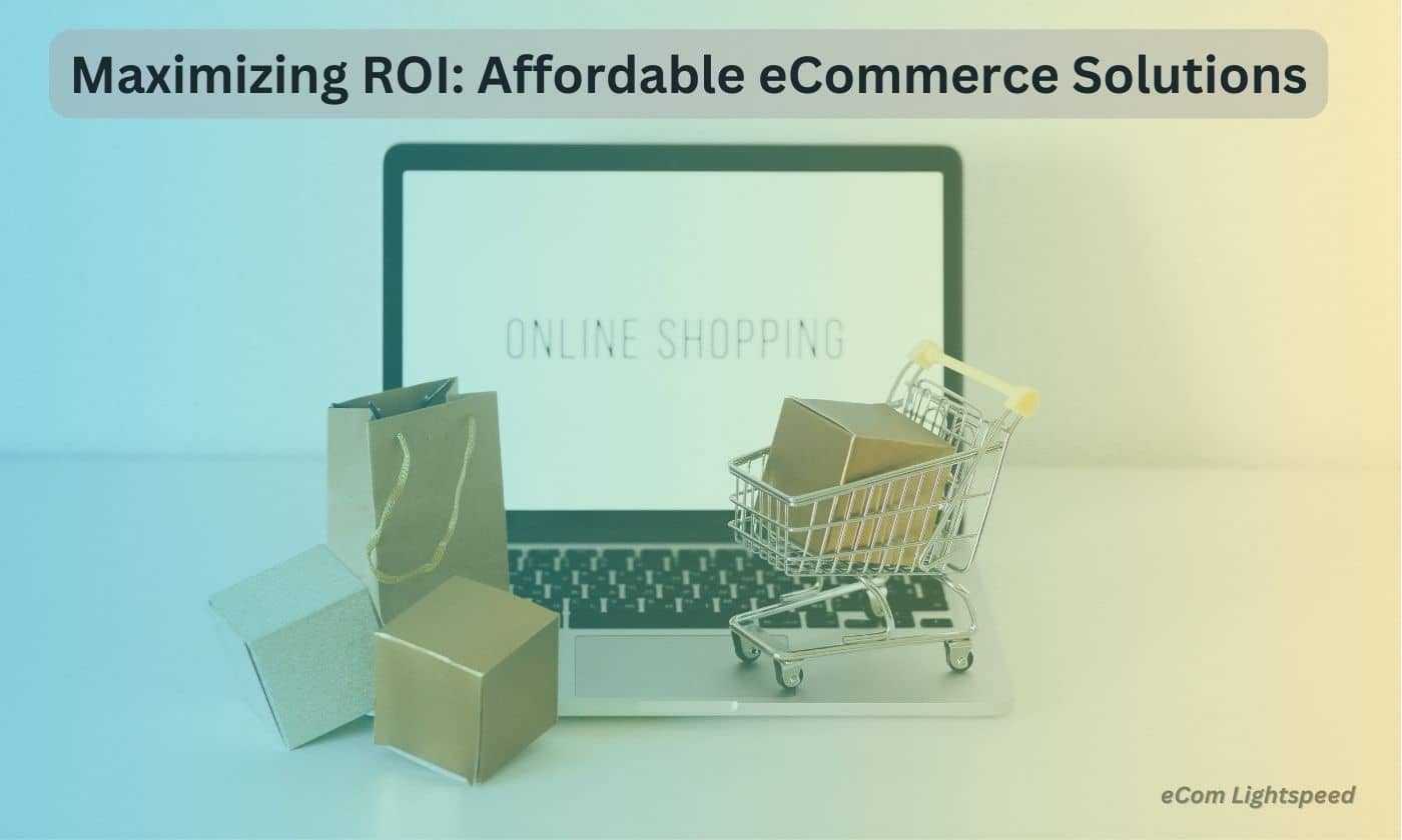Maximizing ROI with Affordable eCommerce Solutions
